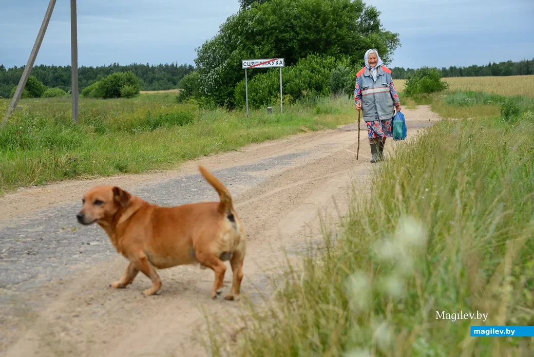Глусский район, деревня Степановка.