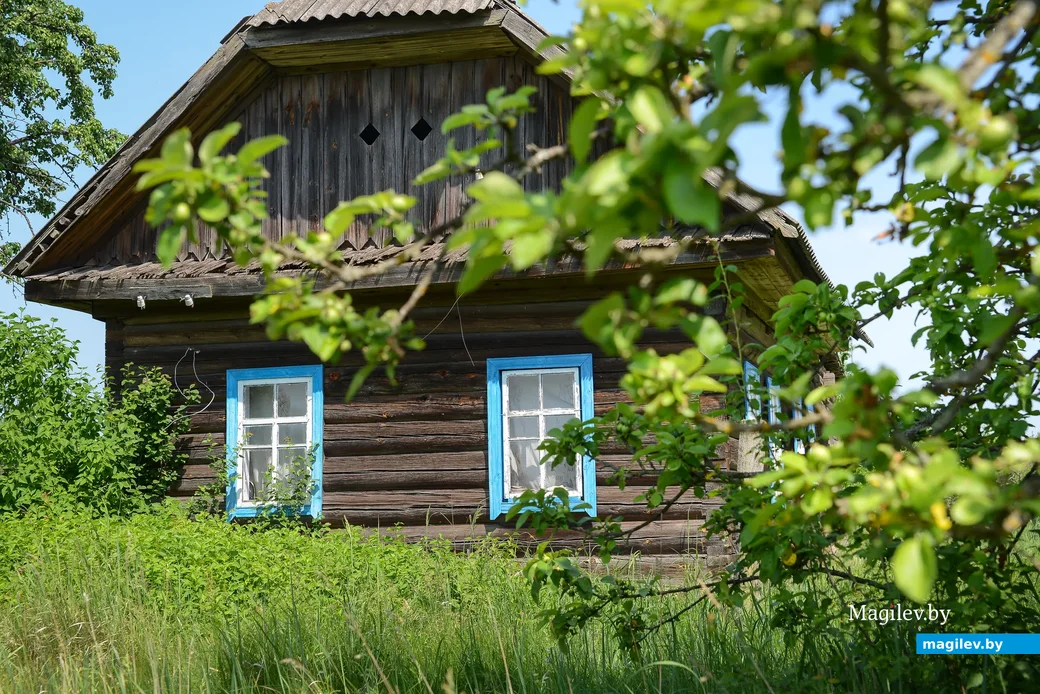2020 г. Бобруйский район, деревня Углы.