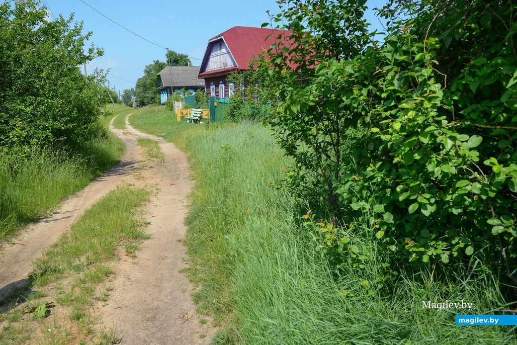 2020 г. Бобруйский район, деревня Углы.