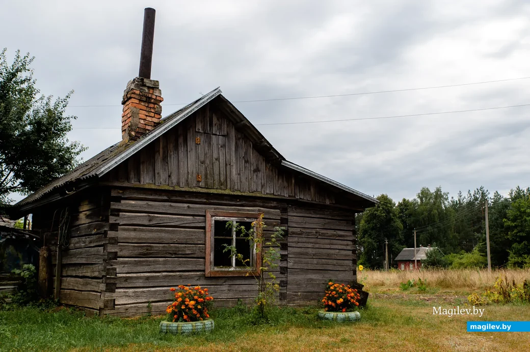 Деревня Продвино, Бобруйский район.