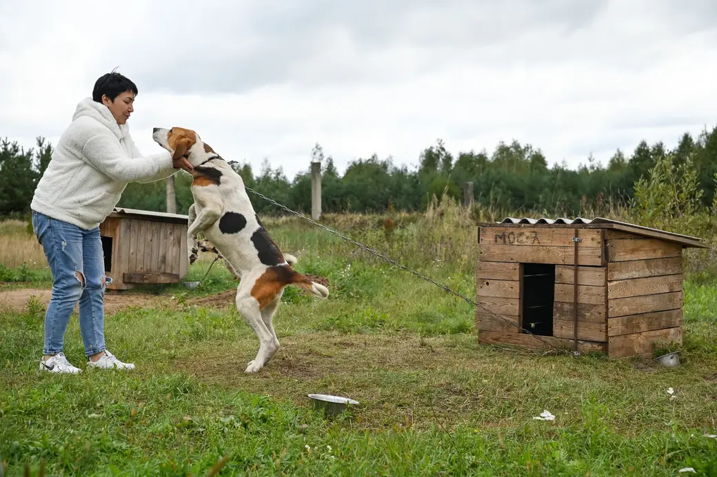 Приют для кошек Бобруйского общественного объединения защиты животных «Добродетель». Председатель «Добродетели» Ирина Кавалерова со своими подопечными. Фото из архива ВБ.