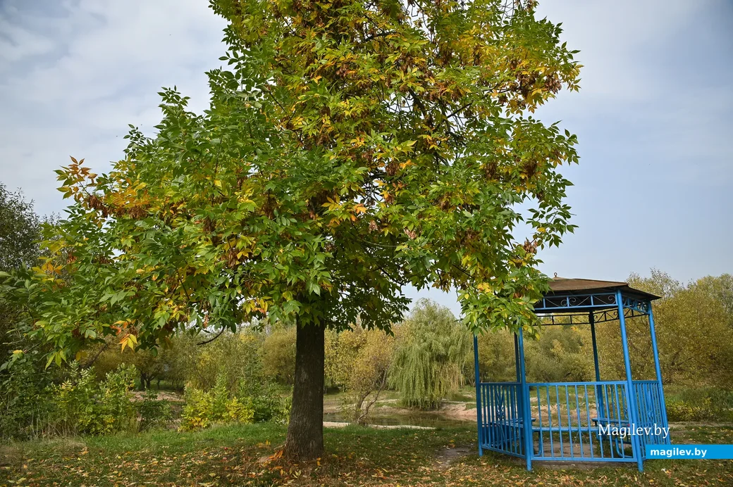30.09.2020. Бобруйск. Городской парк культуры и отдыха