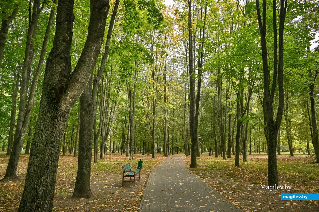30.09.2020. Бобруйск. Городской парк культуры и отдыха