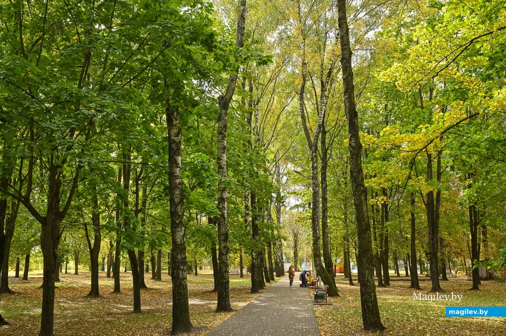 30.09.2020. Бобруйск. Городской парк культуры и отдыха