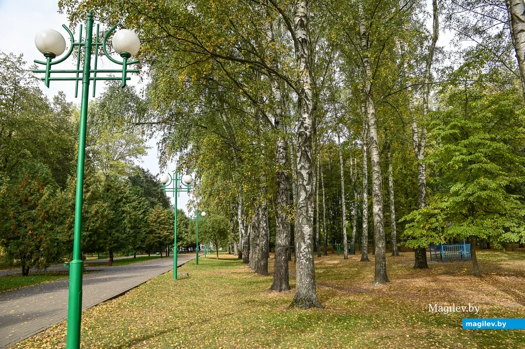 30.09.2020. Бобруйск. Городской парк культуры и отдыха