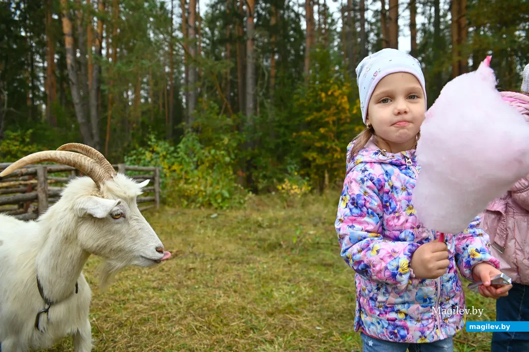 03.10.2020. Глуша. Региональный фестиваль народного творчества и ремесел «Глушанский хуторок»