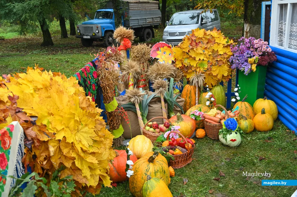 09.10.2020. Бобруйск. Районный фестиваль-ярмарка тружеников села «Дожинки-2020» в агрогородке
