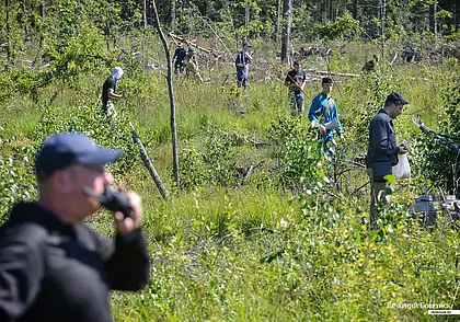 Ушла в лес и не вернулась. В Костюковичском районе второй день ищут 90-летнюю женщину