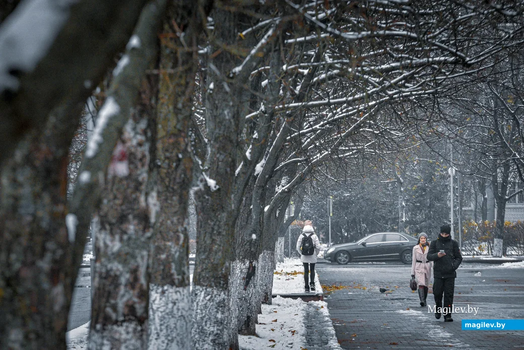 18.11.2020. Бобруйск. Ноябрьский снег в Бобруйске