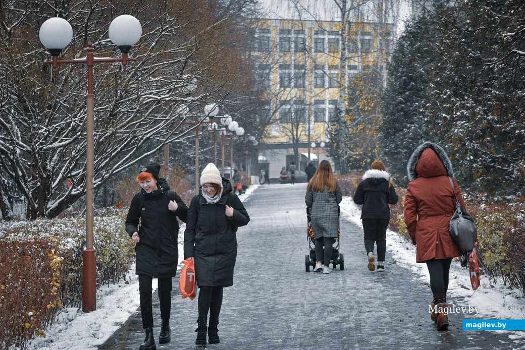 18.11.2020. Бобруйск. Ноябрьский снег в Бобруйске