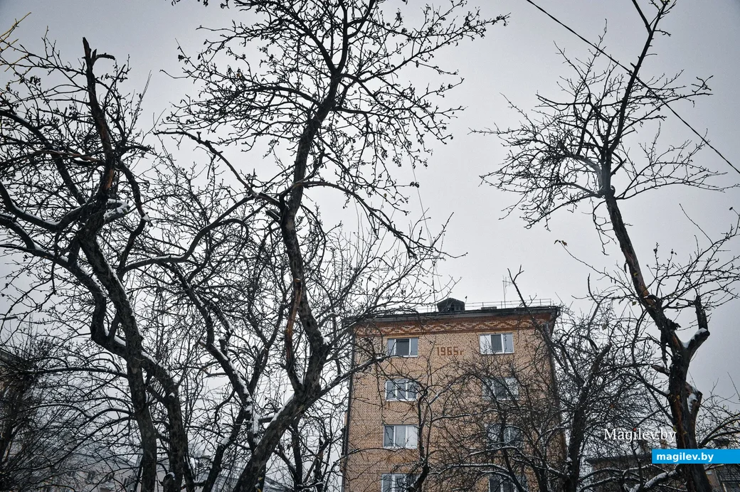 18.11.2020. Бобруйск. Ноябрьский снег в Бобруйске
