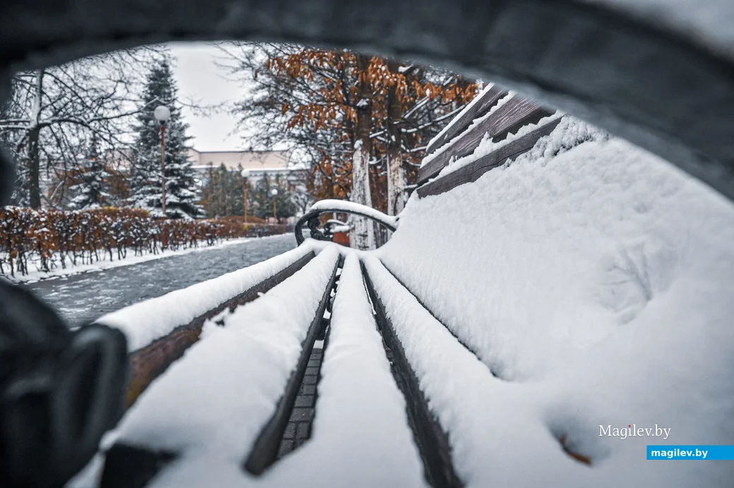 18.11.2020. Бобруйск. Ноябрьский снег в Бобруйске