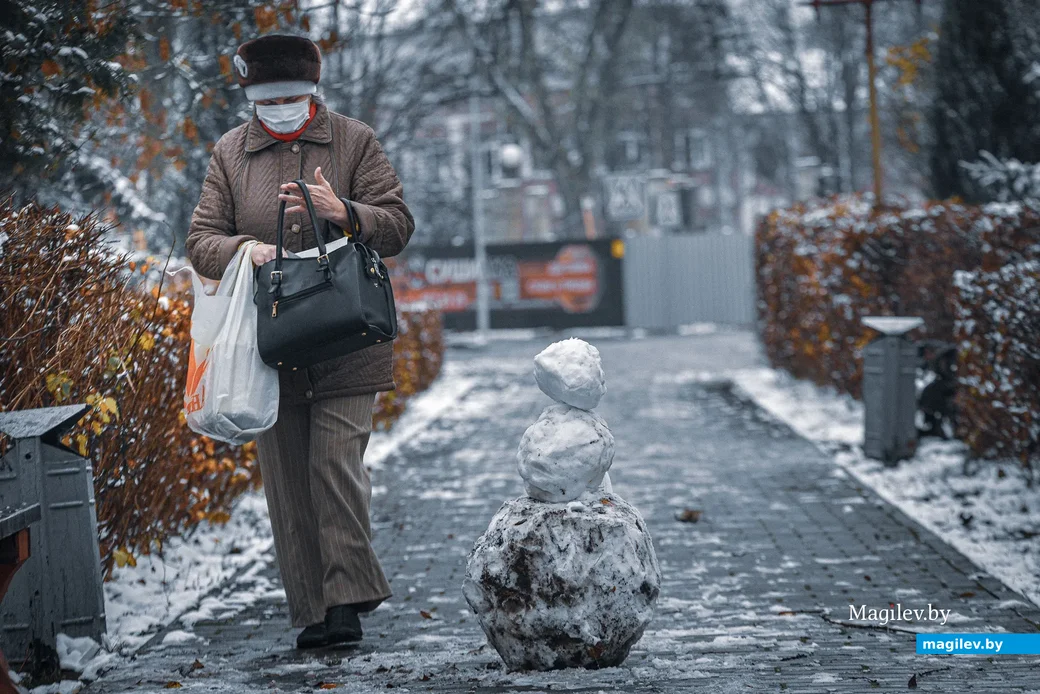 18.11.2020. Бобруйск. Ноябрьский снег в Бобруйске