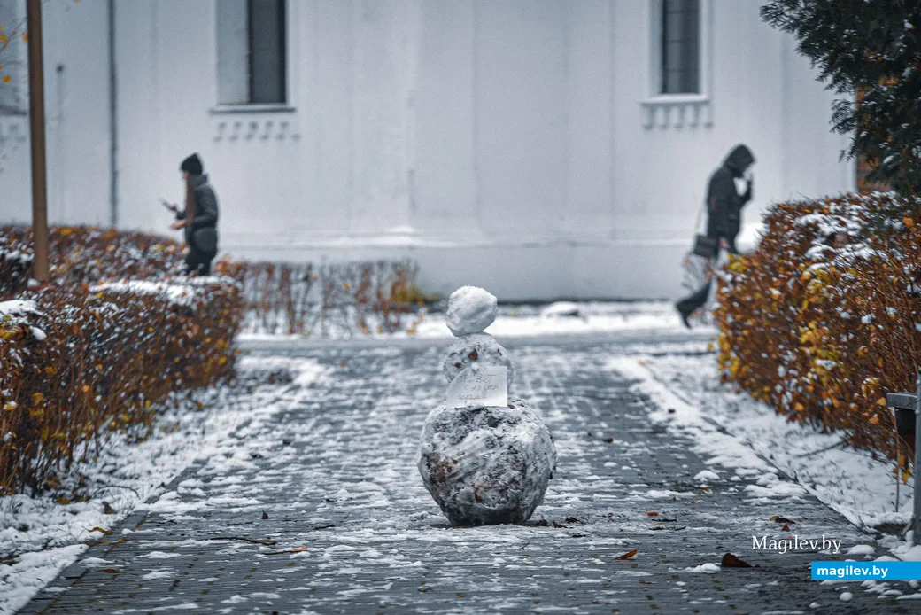 18.11.2020. Бобруйск. Ноябрьский снег в Бобруйске