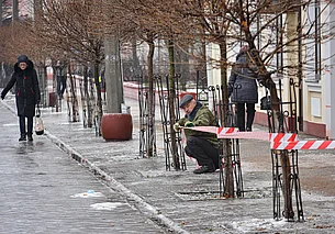 Оранжевый уровень опасности из-за гололедицы: погода в Могилеве 25 февраля