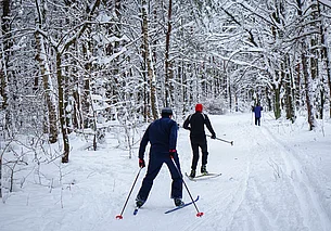 Снег, порывистый ветер и до -11°Ϲ: погода в Могилеве 16 февраля