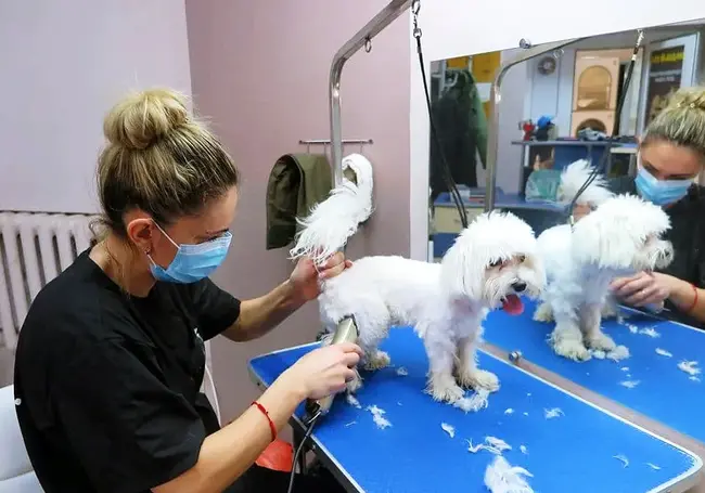 «Кто-то пожимал плечами, другие посмеивались»