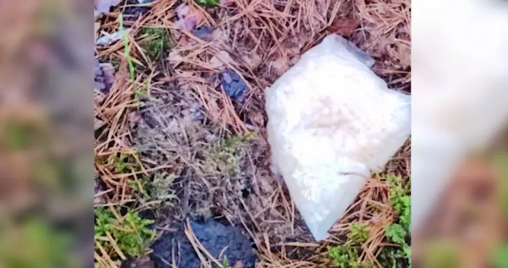 Скриншот видео МВД