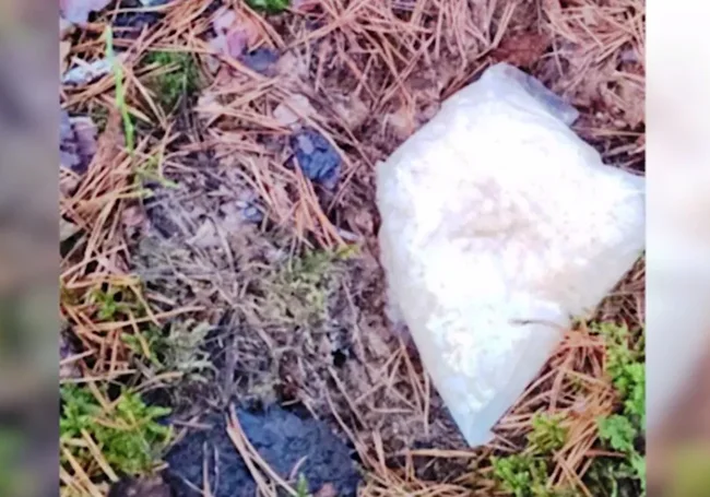 Полкилограмма психотропа изъято у наркодилеров в Могилеве