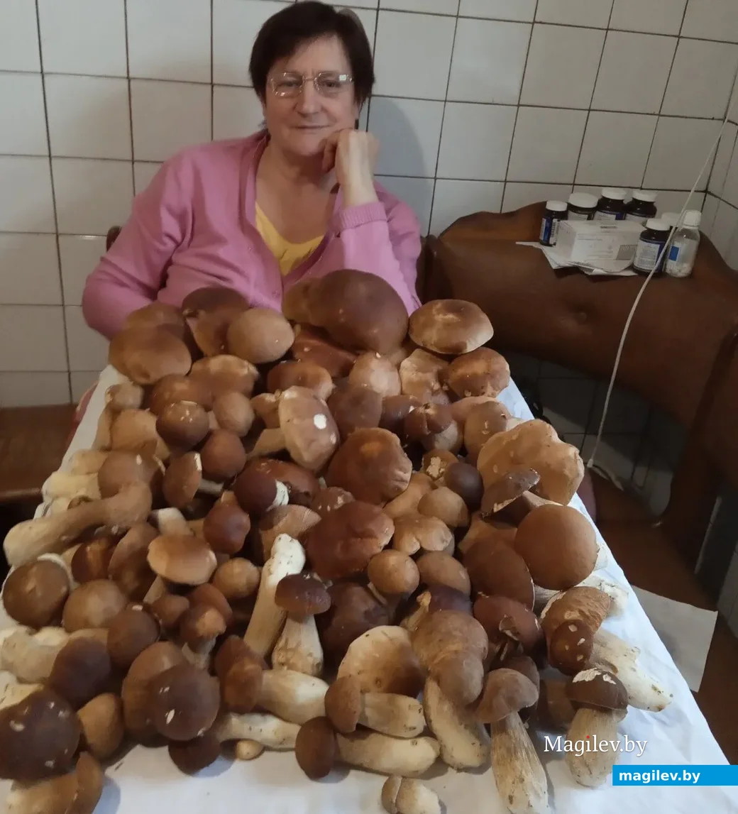 Трофеи Марии Лис.