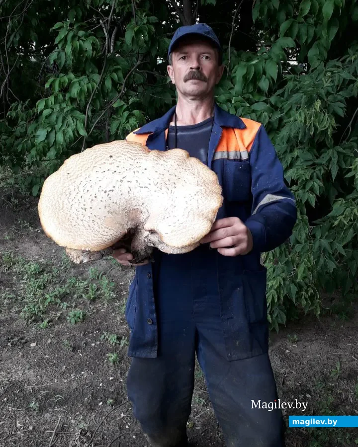 Дмитрий, бывший зять Юрия Антоновича Чишевича