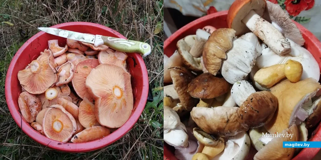 Фото Александры Сакович из Минска.