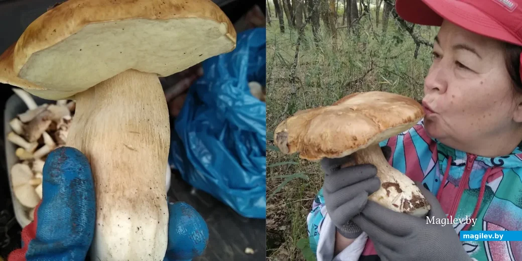 Фото Виктора Кравцова из Волгограда.