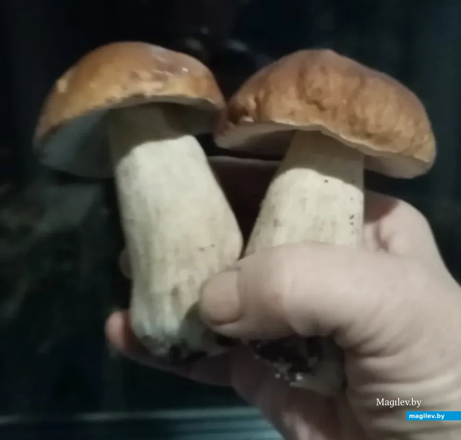 Фото Тамары Шараковой.