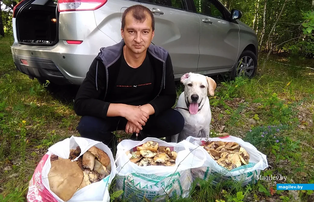 Фото Александра Бурцева из Липецка.