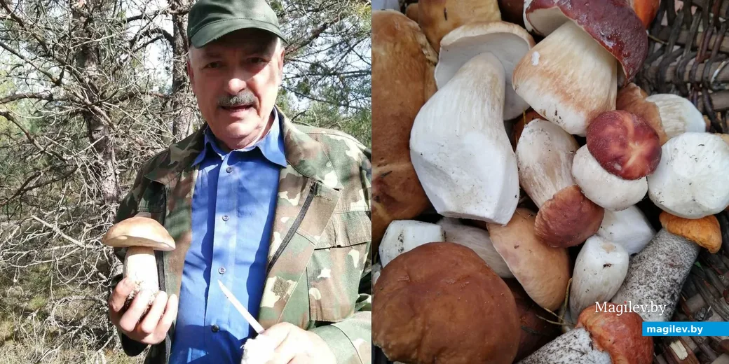 Фото Светланы Макавчик из Минска.