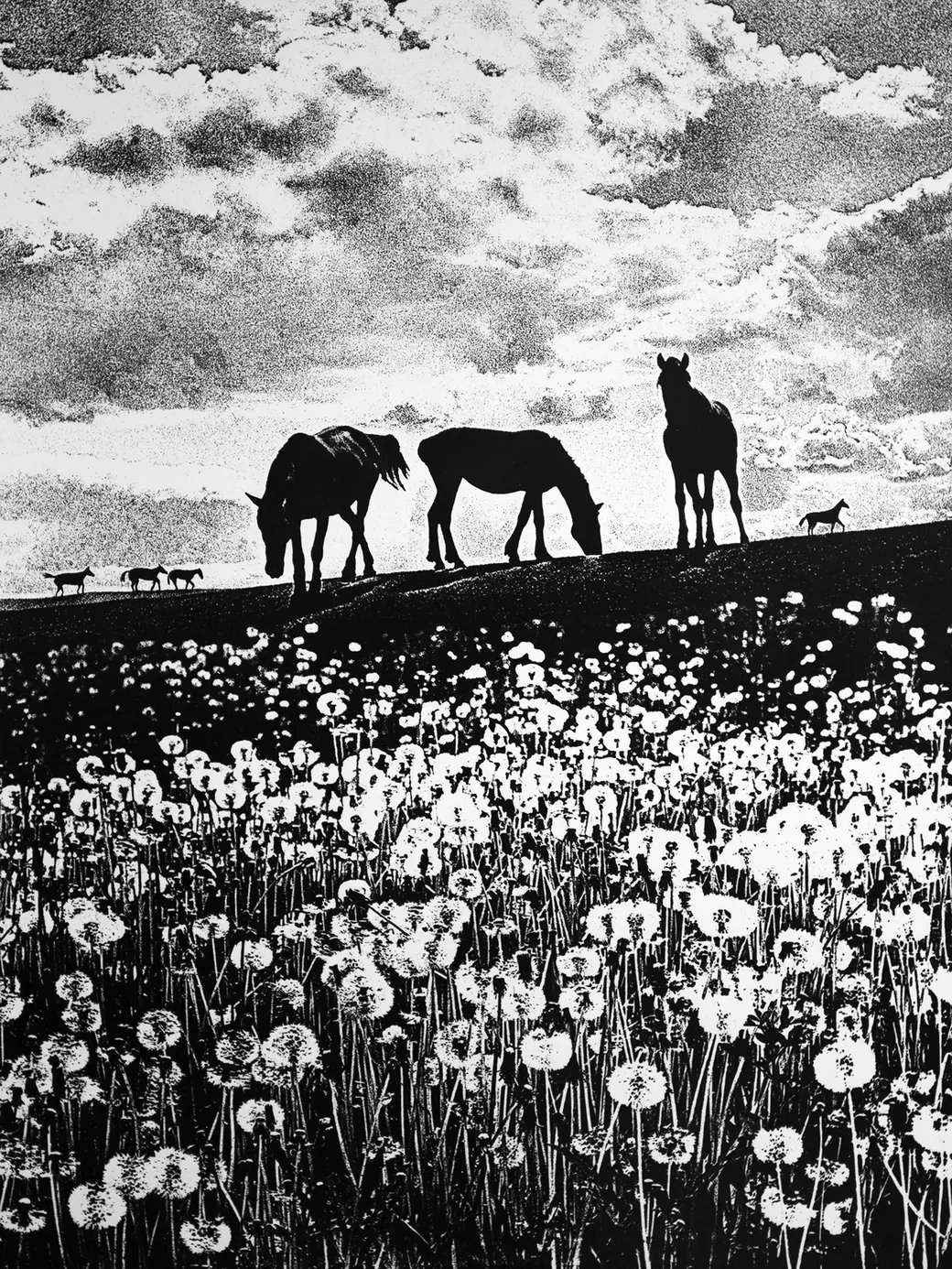 Павел Тишковский. Летний полдень.