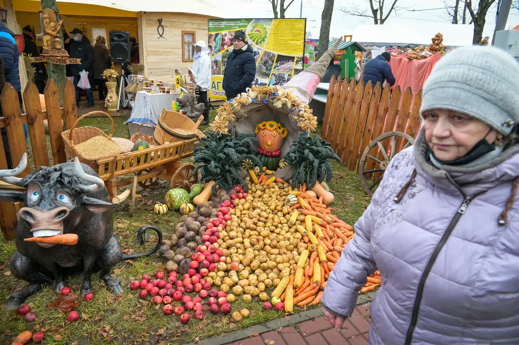 19.11.2021. Могилев Областной фестиваль-ярмарка «Дажынкі-2021» на площадке возле Дворца культуры области.