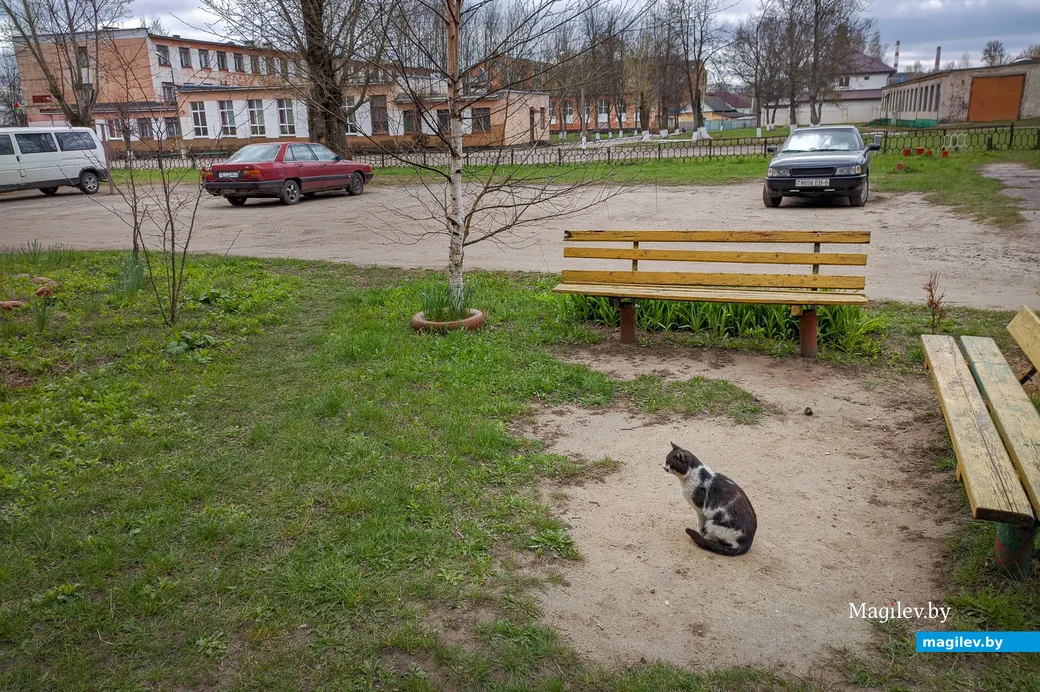 27.04.2021. Бобруйск. Жилая застройка в районе средней школы №19