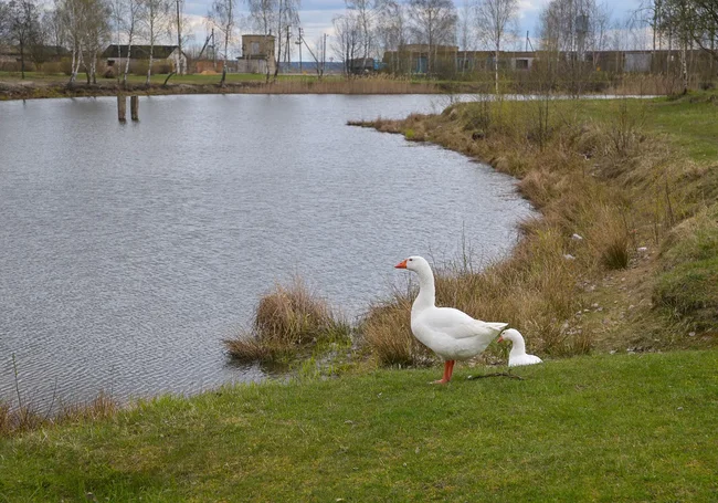 КГК устроил рейд по фермерским хозяйствам: некоторых наказали и изъяли земли