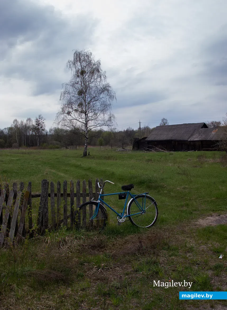 Майские этюды. Поселок Брожа и окрестности. Фото: Светлана Лебедева.