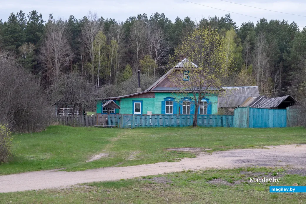 Майские этюды. Поселок Брожа и окрестности. Фото: Светлана Лебедева.