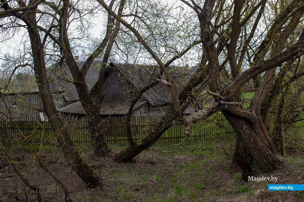 Майские этюды. Поселок Брожа и окрестности. Фото: Светлана Лебедева.
