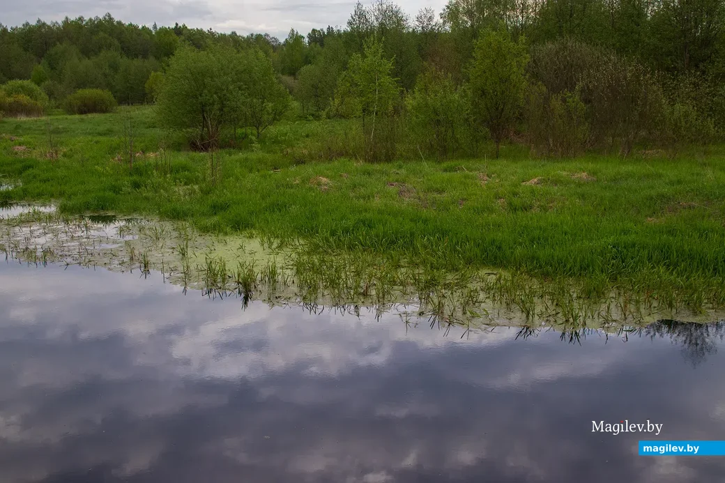 Майские этюды. Поселок Брожа и окрестности. Фото: Светлана Лебедева.