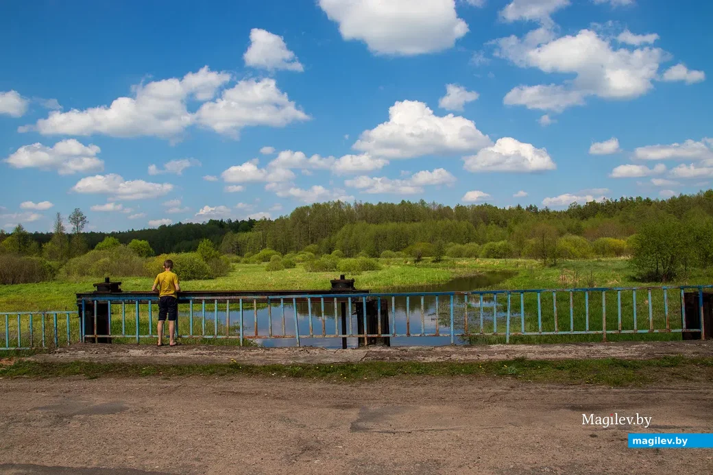 Майские этюды. Поселок Брожа и окрестности. Фото: Светлана Лебедева.