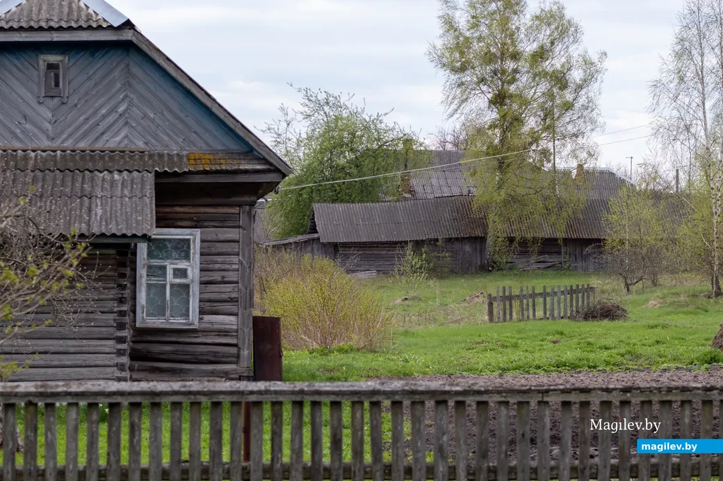 Деревня Брожа. Фото Светланы Лебедевой, 2021 год.