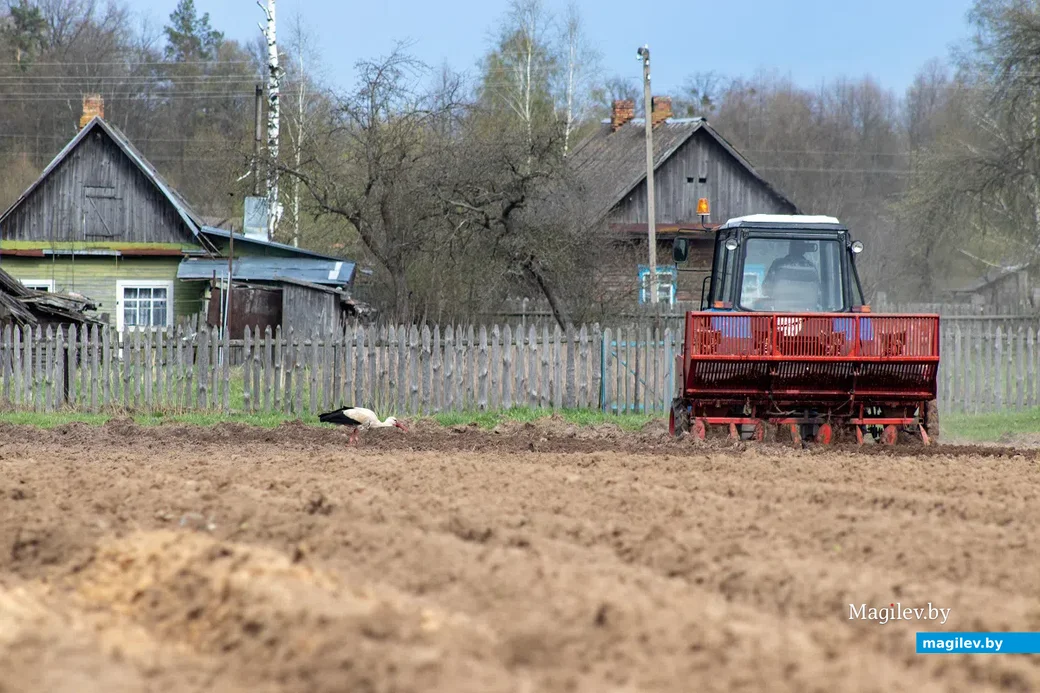 Майские этюды. Поселок Брожа и окрестности. Фото: Светлана Лебедева.