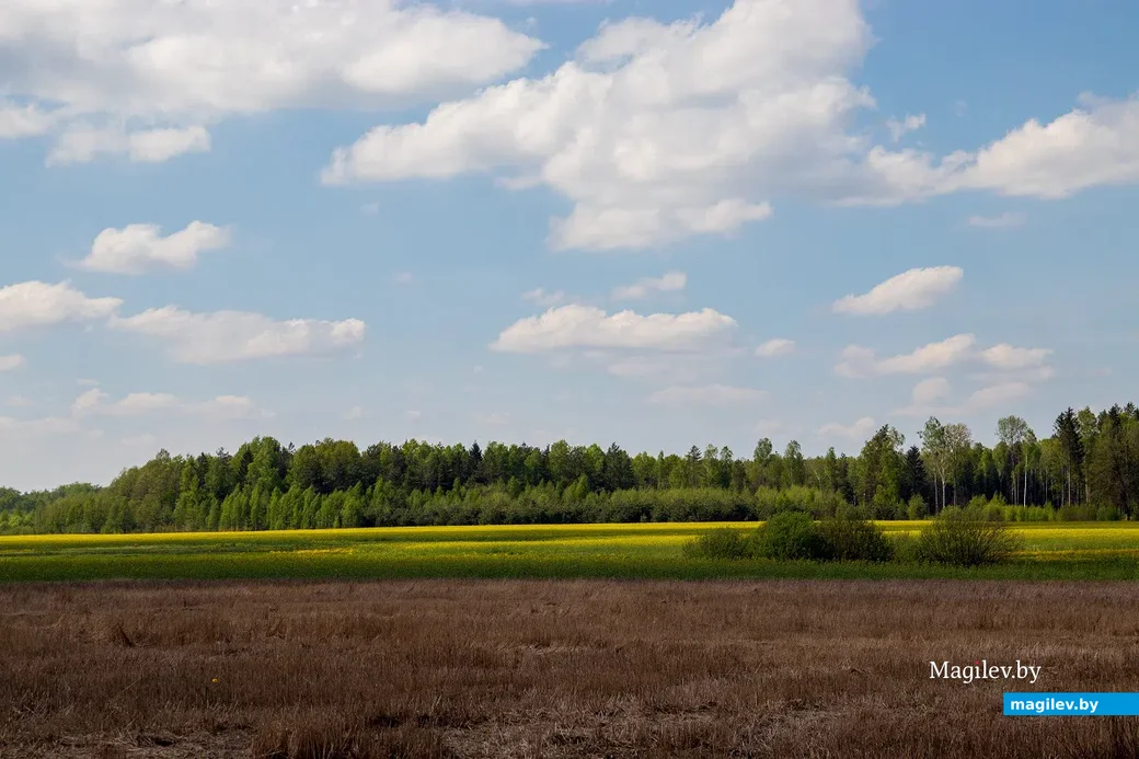 Майские этюды. Поселок Брожа и окрестности. Фото: Светлана Лебедева.