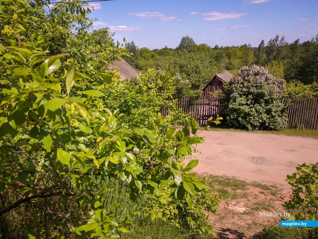В первые летние дни. Фото: Александр Чугуев.