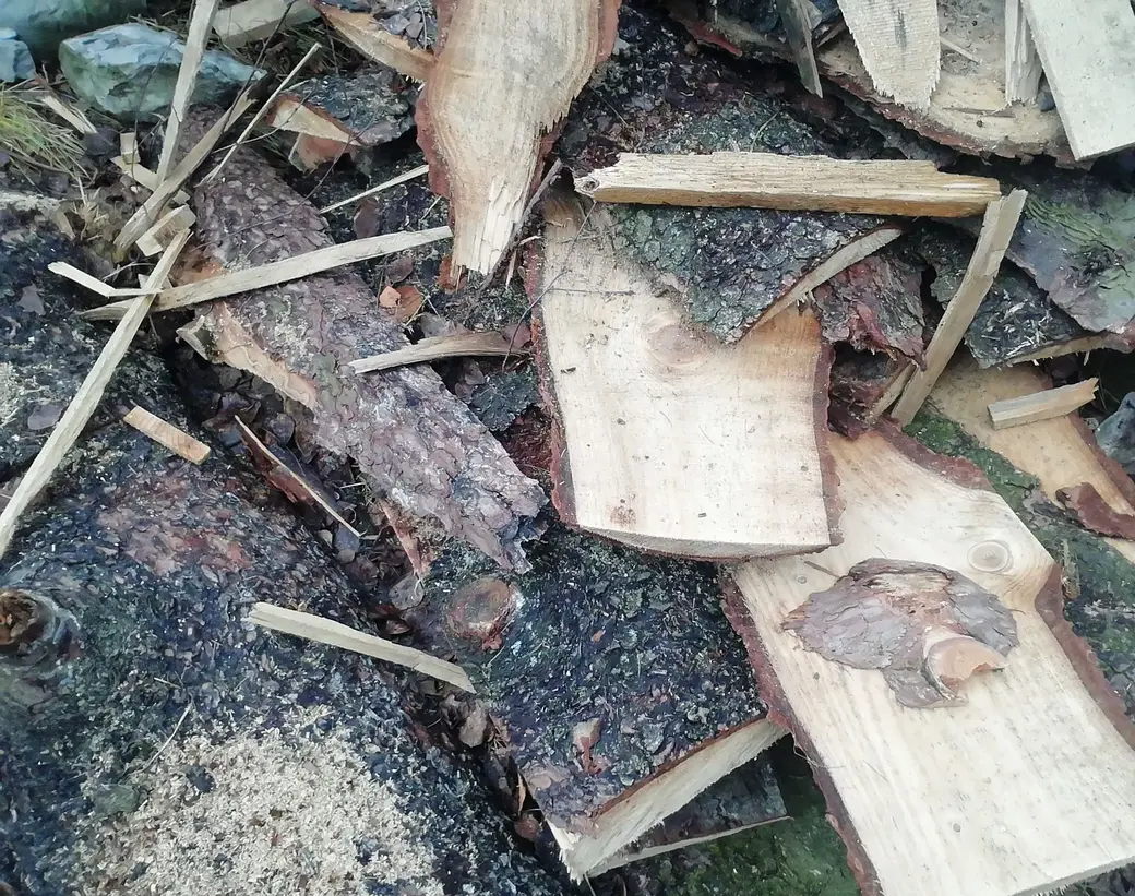 Зима на пороге, а топить нечем. «Кто виноват?» и «Что делать?»