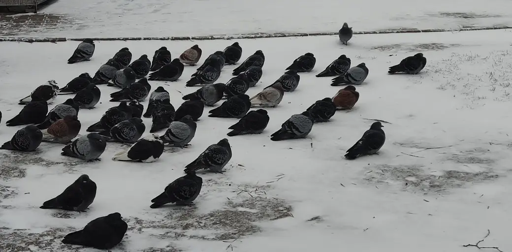 30.11.2021 г. Могилев