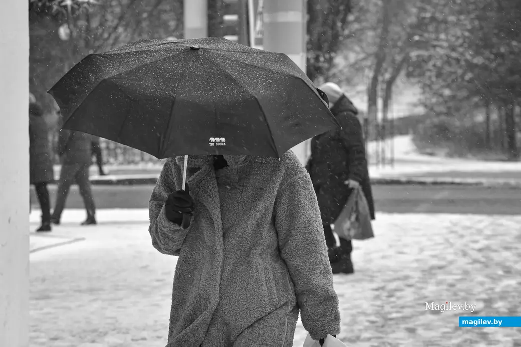 Бобруйск. Первый снегопад в конце ноября. Фото: Александр ЧУГУЕВ