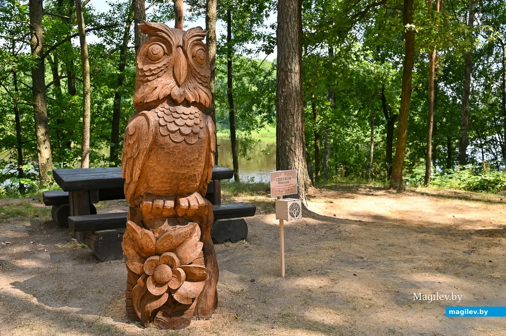 09.07.2021. Бобруйск. Конкурс-пленэр мастеров резьбы по дереву «Перевоплощение дерева». Максим