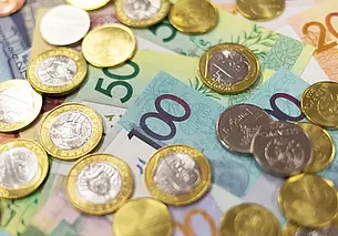 Базовая ставка в Беларуси с 1 января вырастет до Br207