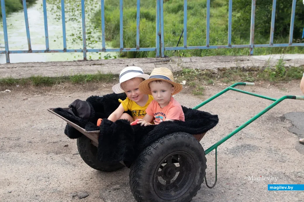 Жаркое лето 2021 года. Поселок Брожа, Бобруйский район. Августовские деревенские этюды.