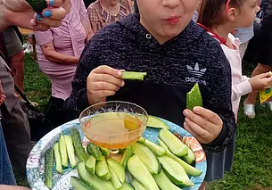 Гастро-фэст, городской пикник, дискотека: «День огурца» пройдет в Шклове 27 августа